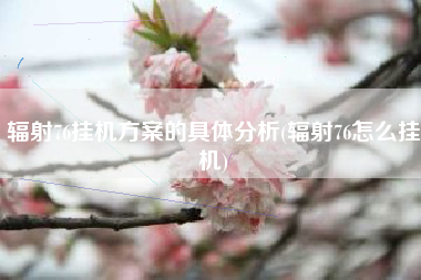辐射76挂机方案的具体分析(辐射76怎么挂机)