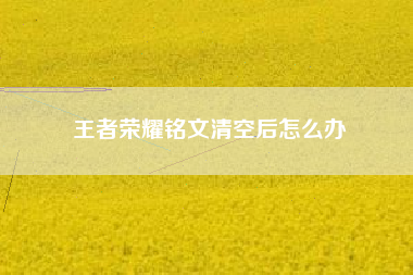 王者荣耀铭文清空后怎么办