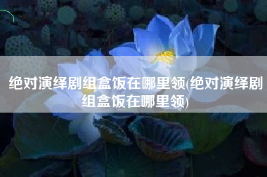 绝对演绎剧组盒饭在哪里领(绝对演绎剧组盒饭在哪里领)