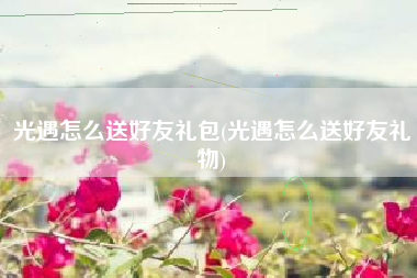 光遇怎么送好友礼包(光遇怎么送好友礼物)