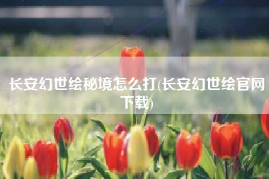 长安幻世绘秘境怎么打(长安幻世绘官网下载)