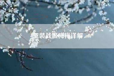 重装战姬梅梅详解