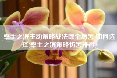 率土之滨主动策略战法哪个厉害 如何选择(率土之滨策略伤害排行)