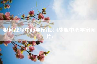 银河战舰中心宇宙(银河战舰中心宇宙图片)