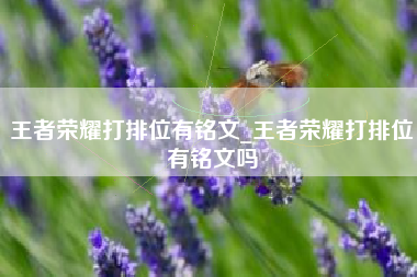 王者荣耀打排位有铭文_王者荣耀打排位有铭文吗
