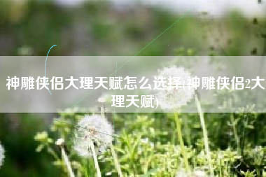 神雕侠侣大理天赋怎么选择(神雕侠侣2大理天赋)
