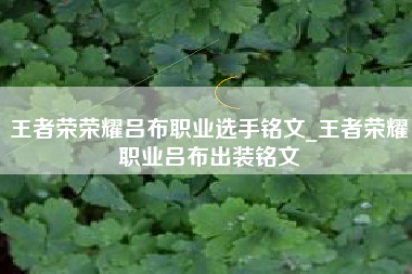 王者荣荣耀吕布职业选手铭文_王者荣耀职业吕布出装铭文