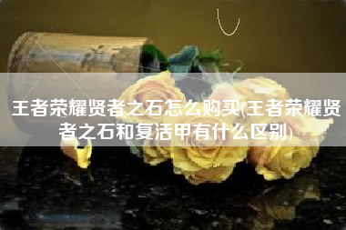 王者荣耀贤者之石怎么购买(王者荣耀贤者之石和复活甲有什么区别)