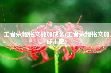 王者荣耀铭文能加成么(王者荣耀铭文加成上限)