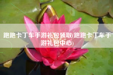 跑跑卡丁车手游礼包领取(跑跑卡丁车手游礼包中心)