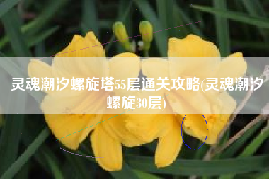 灵魂潮汐螺旋塔55层通关攻略(灵魂潮汐螺旋30层)