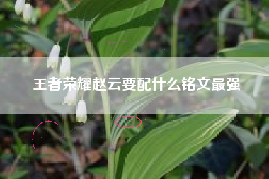 王者荣耀赵云要配什么铭文最强