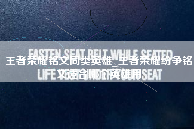 王者荣耀铭文同类英雄_王者荣耀纷争铭文适合哪个英雄用