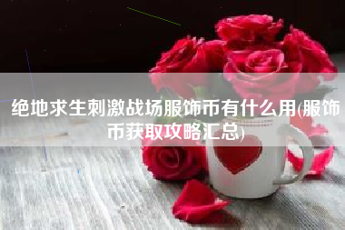绝地求生刺激战场服饰币有什么用(服饰币获取攻略汇总)