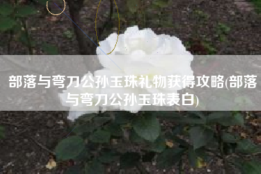 部落与弯刀公孙玉珠礼物获得攻略(部落与弯刀公孙玉珠表白)