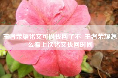 王者荣耀铭文可以找回了不_王者荣耀怎么看上次铭文找回时间