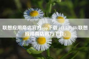 联想应用商店官方app下载 v11.5.20.88(联想应用商店官方下载)