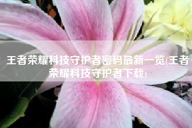 王者荣耀科技守护者密码最新一览(王者荣耀科技守护者下载)