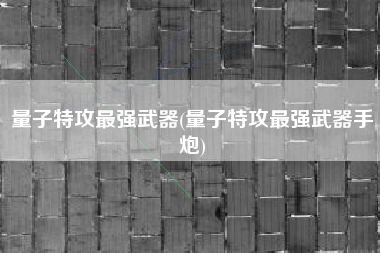 量子特攻最强武器(量子特攻最强武器手炮)