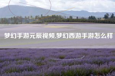 梦幻手游元辰视频,梦幻西游手游怎么样