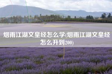 烟雨江湖文皇经怎么学(烟雨江湖文皇经怎么升到200)