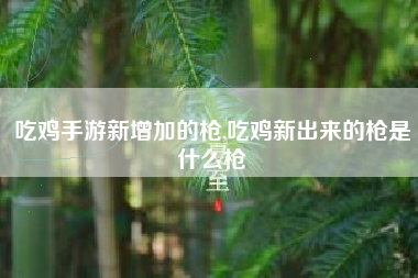 吃鸡手游新增加的枪,吃鸡新出来的枪是什么枪