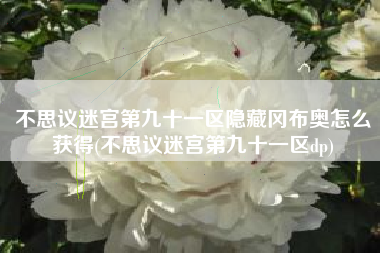不思议迷宫第九十一区隐藏冈布奥怎么获得(不思议迷宫第九十一区dp)