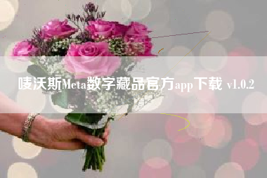 唛沃斯Meta数字藏品官方app下载 v1.0.2