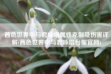 茜色世界中与君咏唱属性克制及伤害详解(茜色世界中与君咏唱台服官网)