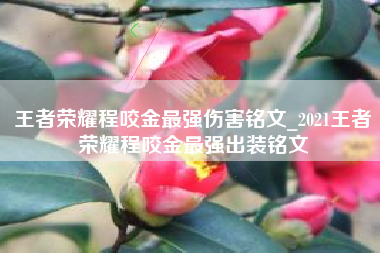 王者荣耀程咬金最强伤害铭文_2021王者荣耀程咬金最强出装铭文