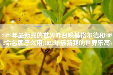 2022年最新我的世界咋召唤基格尔德和2022命名牌怎么用(2022年最新我的世界乐高)