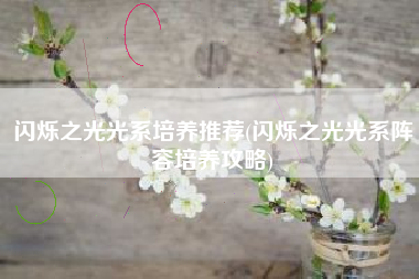 闪烁之光光系培养推荐(闪烁之光光系阵容培养攻略)