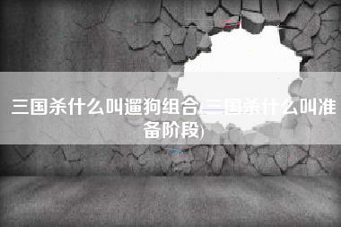 三国杀什么叫遛狗组合(三国杀什么叫准备阶段)
