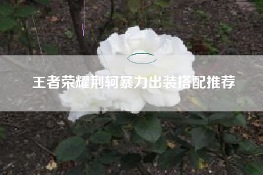 王者荣耀荆轲暴力出装搭配推荐