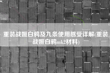 重装战姬白鸦及九条使用感受详解(重装战姬白鸦mk2材料)