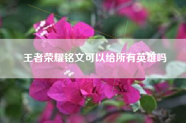 王者荣耀铭文可以给所有英雄吗