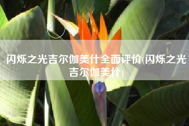 闪烁之光吉尔伽美什全面评价(闪烁之光吉尔伽美什)