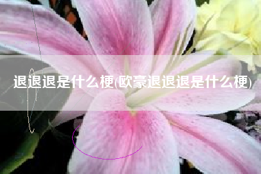退退退是什么梗(欧豪退退退是什么梗)