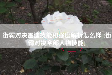 街霸对决霍迪技能和强度解析怎么样 (街霸对决全部人物技能)