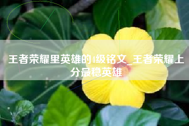 王者荣耀里英雄的4级铭文_王者荣耀上分最稳英雄