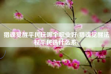 猎魂觉醒平民玩哪个职业好(猎魂觉醒法杖平民选什么系)