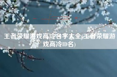 王者荣耀游戏高冷名字大全(王者荣耀游戏高冷ID名)