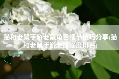 猫和老鼠手游老鼠角色细节技巧分享(猫和老鼠手游老鼠强度排名)