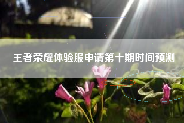 王者荣耀体验服申请第十期时间预测