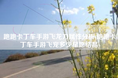 跑跑卡丁车手游飞龙刀属性分析(跑跑卡丁车手游飞宠多少星愿结晶)