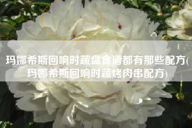 玛娜希斯回响时蔬盘食谱都有那些配方(玛娜希斯回响时蔬烤肉串配方)
