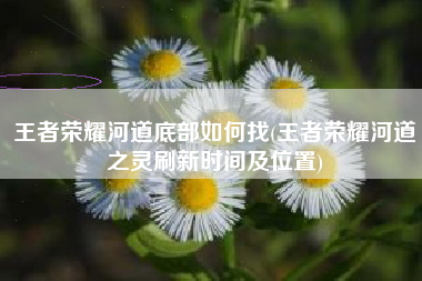 王者荣耀河道底部如何找(王者荣耀河道之灵刷新时间及位置)