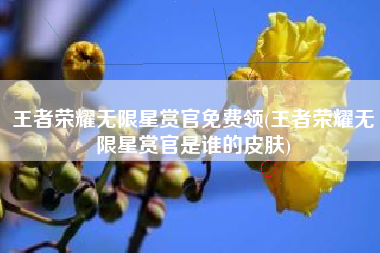 王者荣耀无限星赏官免费领(王者荣耀无限星赏官是谁的皮肤)