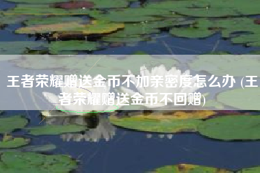 王者荣耀赠送金币不加亲密度怎么办 (王者荣耀赠送金币不回赠)