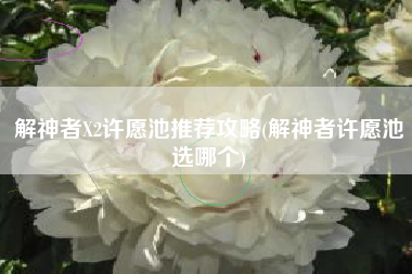解神者X2许愿池推荐攻略(解神者许愿池选哪个)